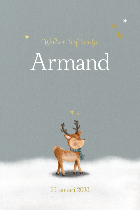 Lief geboortekaartje jongen winter rendier met goudfolie Armand