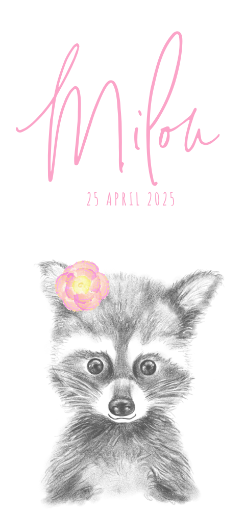 Geboortekaart meisje tekening lief wasbeertje Milou