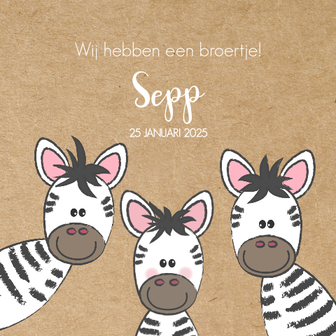 Geboortekaartje derde kindje kraft illustratie van schattige zebra's