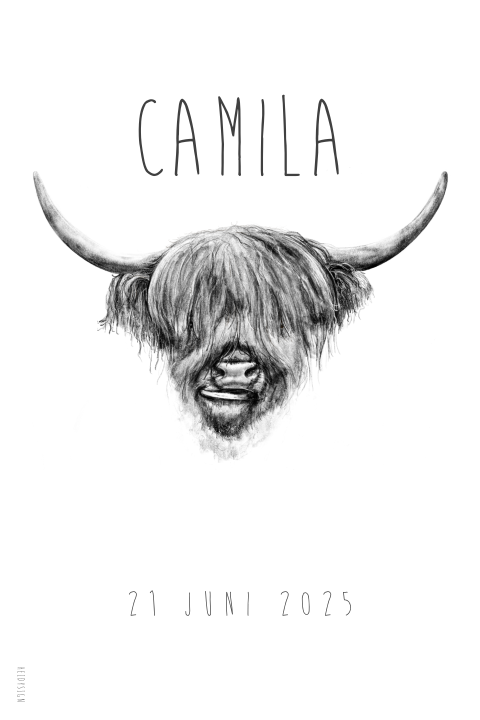Poster met een tekening van een schotse hooglander