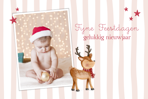 Foto kerstkaart met licht roze strepen en schattig rendier