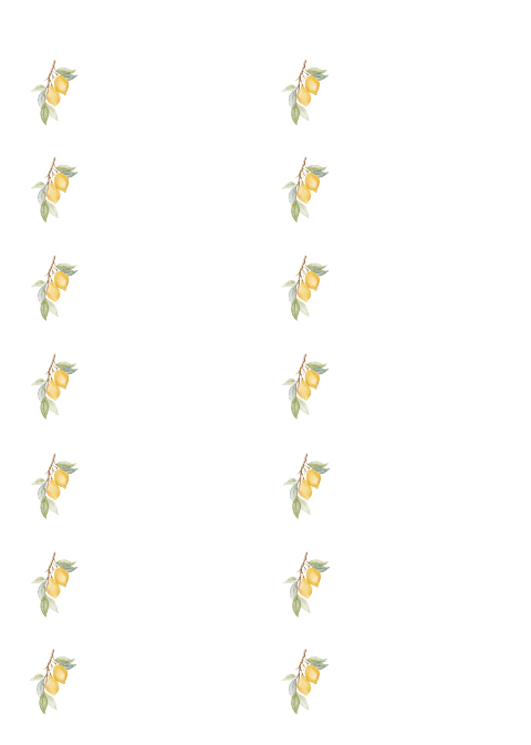adresstickers Lemon Love – Stijlvolle finishing touch
