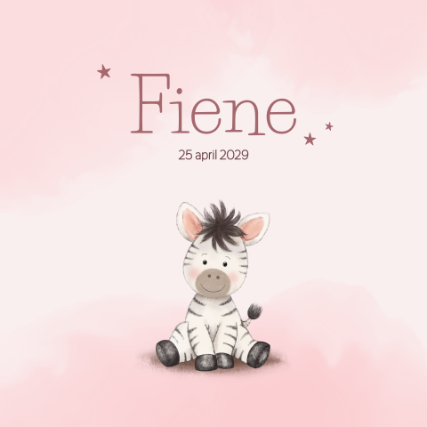 Geboortekaartje meisje met lieve zebra en zacht roze tinten
