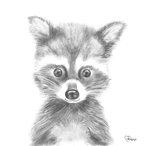 Dierenkaart met een potloodtekening van een lief wasbeertje