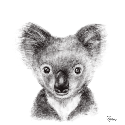 Dierenkaart potloodtekening lief koalabeertje