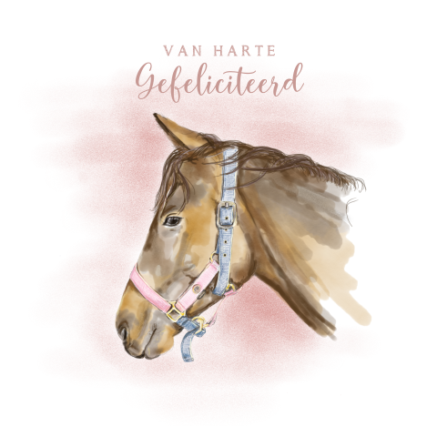 Verjaardagskaart met een tekening van een lief paardje
