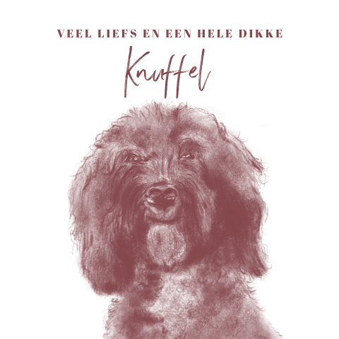Sterkte Dikke knuffel tekening grote lieve hond