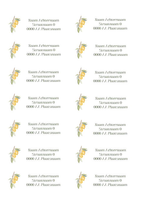 Adresstickers Lemon Love – Stijlvol met citroenen en adres