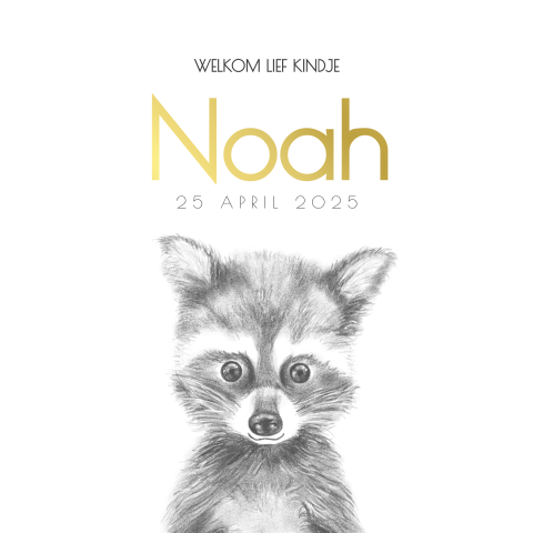 Geboortekaart potloodtekening schattig wasbeertje en goudfolie Noah