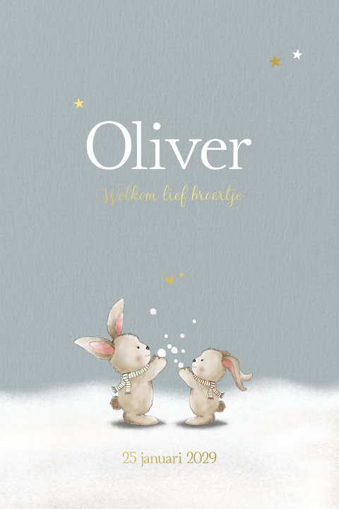 Geboortekaartje jongen tweede kindje winter konijntjes & goudfolie