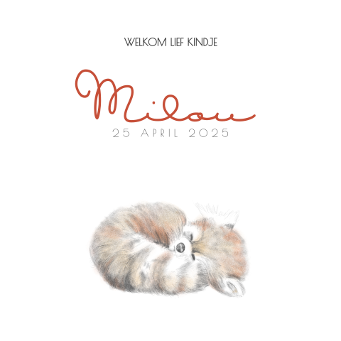Geboortekaart potloodtekening schattig panda beertje Milou