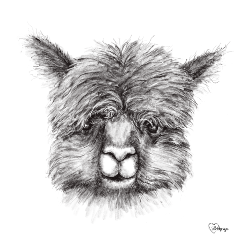 Dierenkaart potloodtekening grappige alpaca