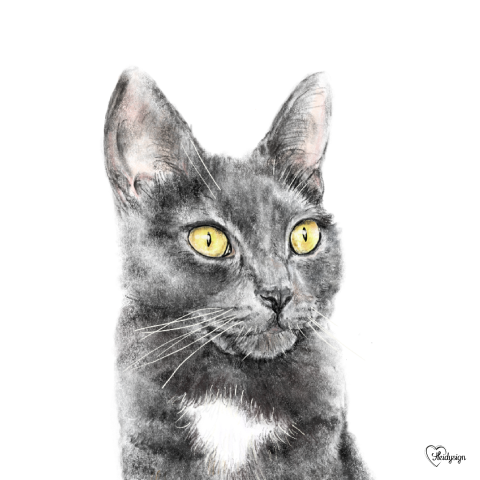 Dierenkaart met een tekening van een lief poesje