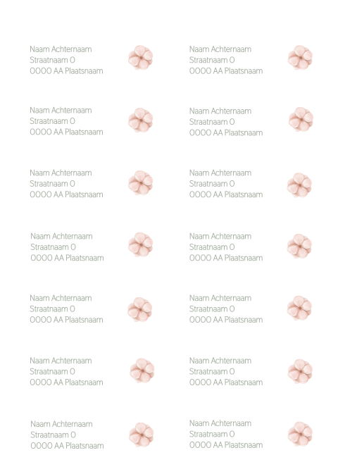Adresstickers met schattig bloemetje – Soft Bloom