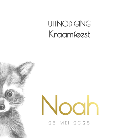 kraamfeest goudfolie en potloodtekening wasbeertje Noah