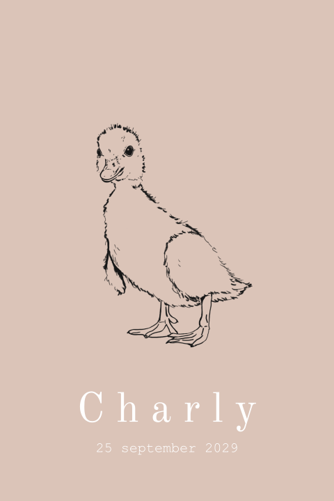 Geboortekaartje met een schattig baby eendje in zachte tinten - Charly