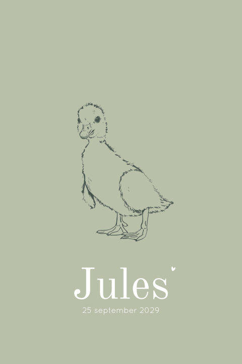 Geboortekaartje jongen met eendje groen minimalistisch – Jules
