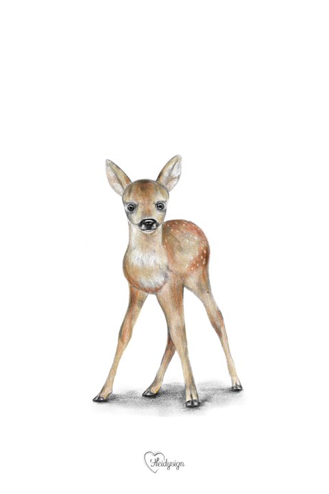 Dierenkaart potloodtekening lief hertje