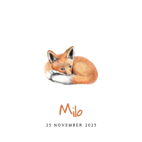 Geboortekaartje tekening lief vosje Milo