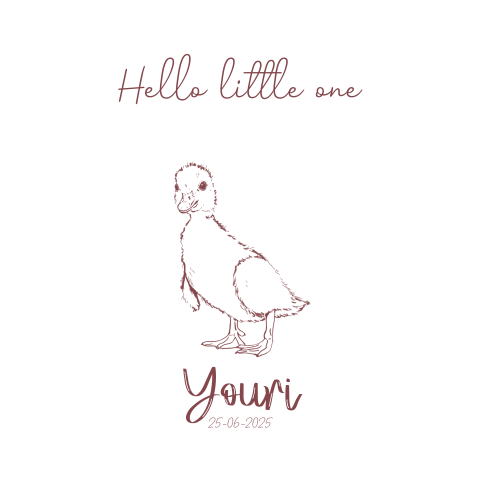 Dieren geboortekaartje pentekening baby eendje
