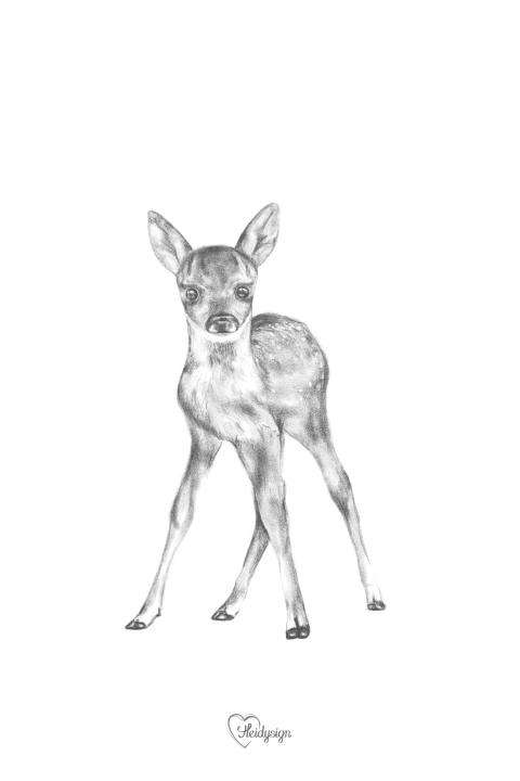 Dierenkaart met potloodtekening baby hertje