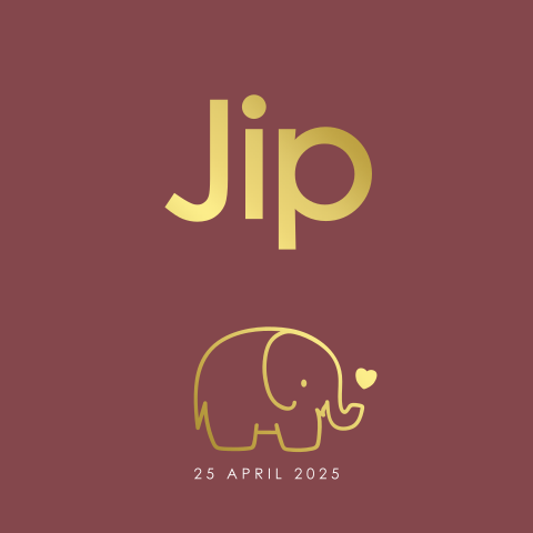 Minimalistisch neutraal geboortekaartje goudfolie olifant