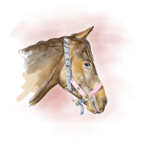 Behangcirkel met getekend paard Ø 100 cm
