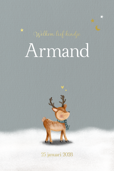 Lief geboortekaartje jongen winter rendier met goudfolie Armand