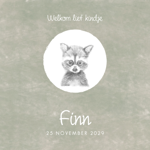 Geboortekaartje groen met tekening wasbeer Finn
