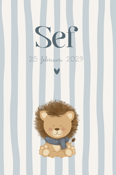 Geboortekaartje jongen winter met blauwe strepen en leeuw Sef