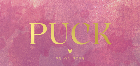 Geboortekaart meisje stoere roze structuur goudfolie -Puck