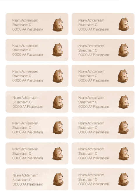 Adresstickers geboorte met een schattig beertje - Sam