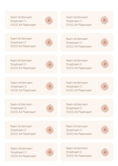 Adresstickers met adres en roosje – Dusty Rose