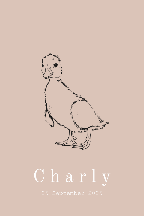 Geboortekaartje met een schattig baby eendje in zachte tinten - Charly