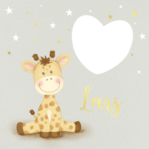 Geboortekaartje met lief girafje en hartjes doorkijkje
