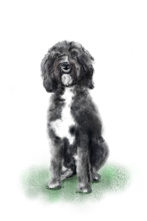 Poster met een tekening van een hond