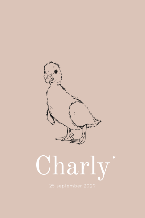 Geboortekaartje eendje oudroze minimalistisch – Charly