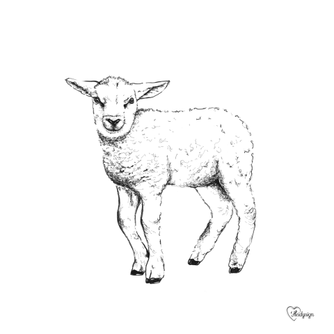 Dierenkaart pentekening lammetje