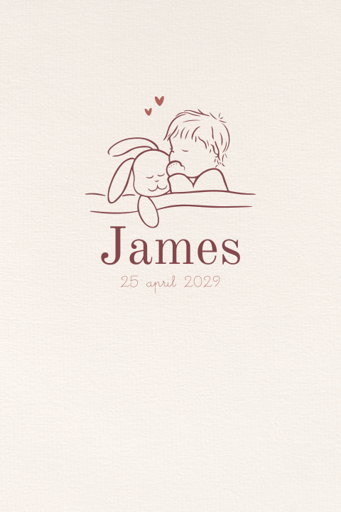 Minimalistisch geboortekaartje lijntekening kindje en knuffelkonijn