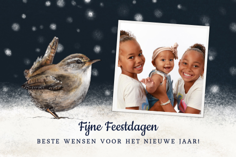 Foto kerstkaart met winterse sfeer, sneeuwvlokken en winterkoninkje