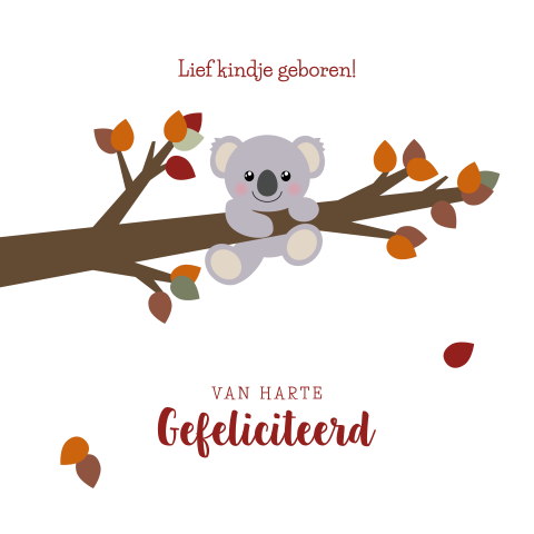 Felicitatie geboorte herfst Koala aan een tak