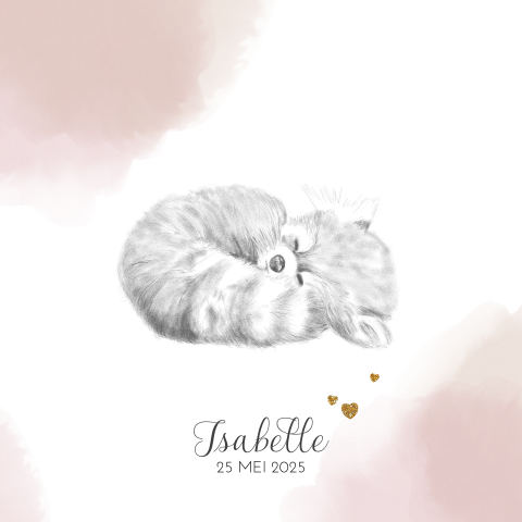 Klassieke geboortekaart waterverf potloodtekening rode panda Isabelle