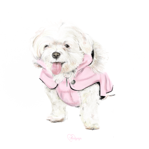 Dierenkaart met een tekening van een lief hondje