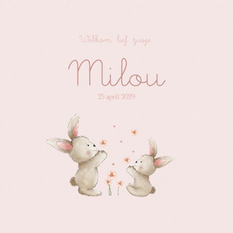 Geboortekaartje zusje roze met konijntjes en lentebloemen