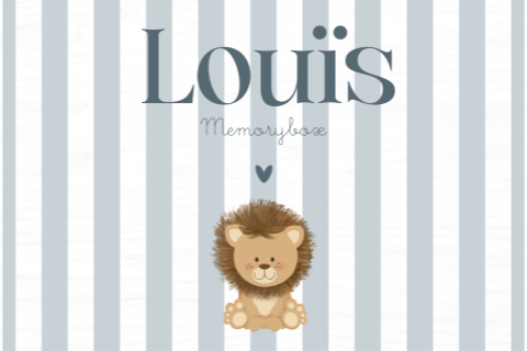 Witte memorybox met naam, leeuwtje en blauwe strepen