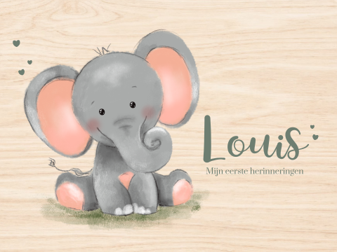 Houten memorybox jongen lief olifantje en naam