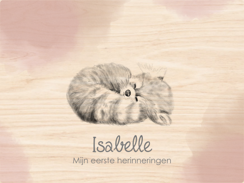 Luxe houten memory box met een schattige rode panda