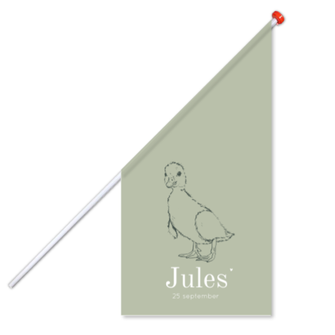 Geboortevlag jongen groen met baby eendje – Jules