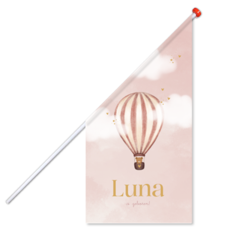 Geboortevlag meisje roze met luchtballon en beertje