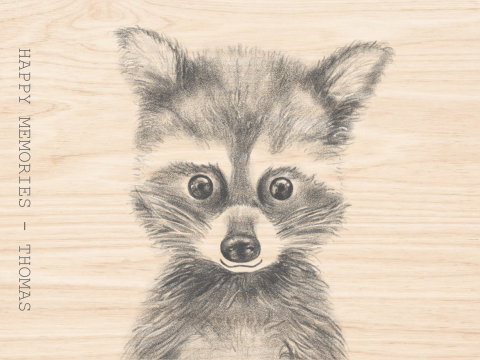 Houten memory box met wasbeertje